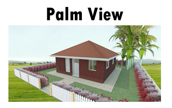 Palm View